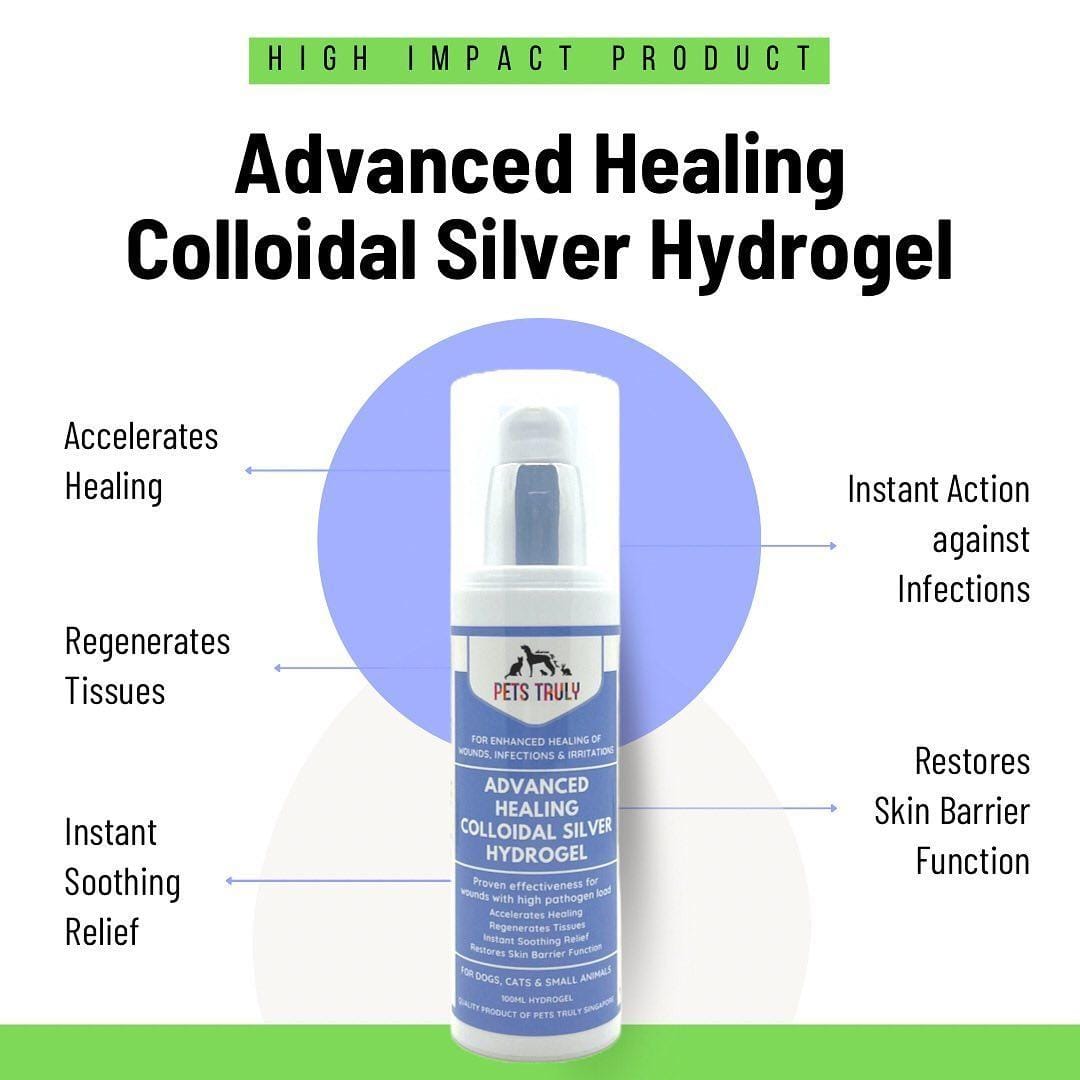 Best Pet Groomer in the East